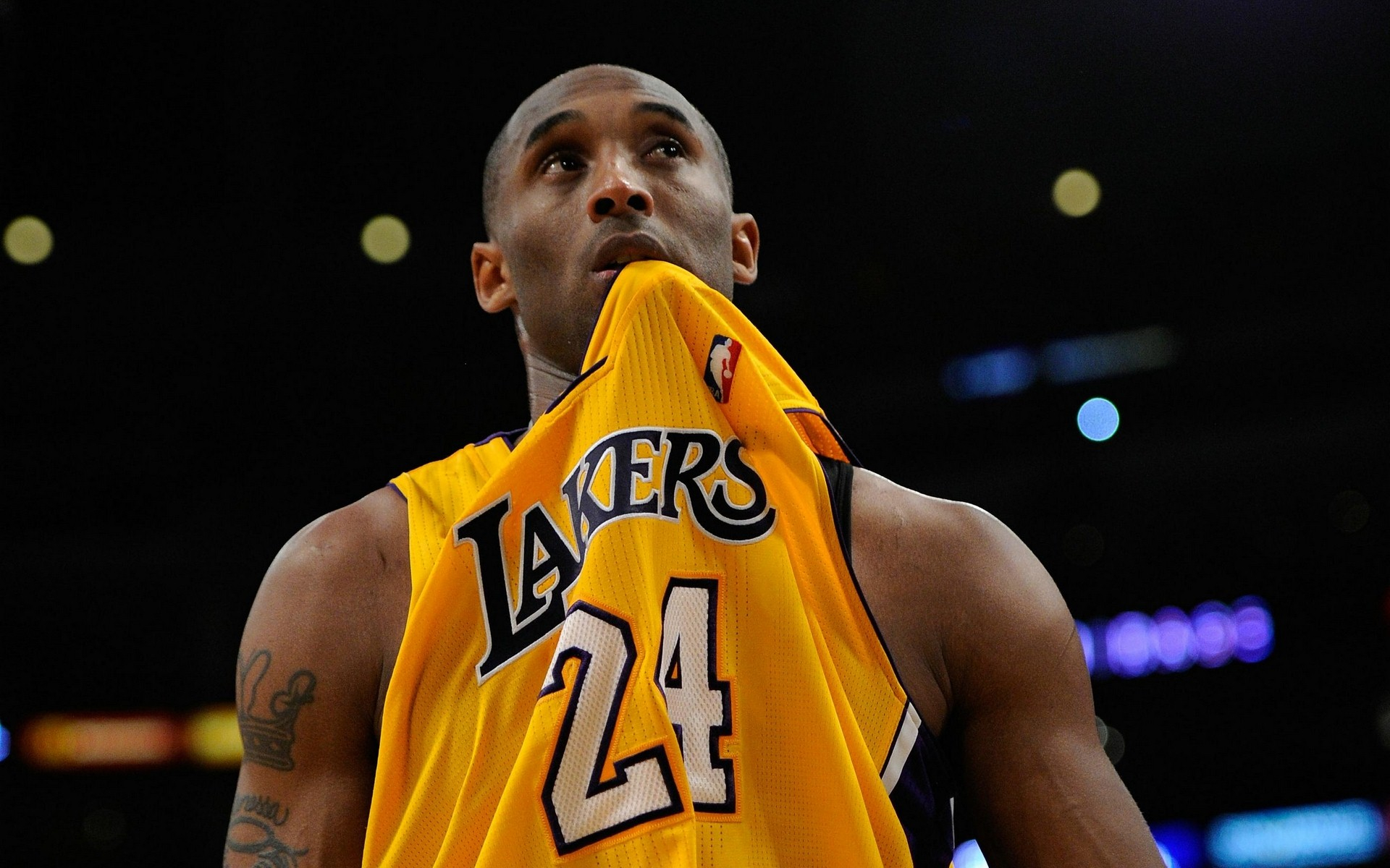 本文将带您 本文将带您