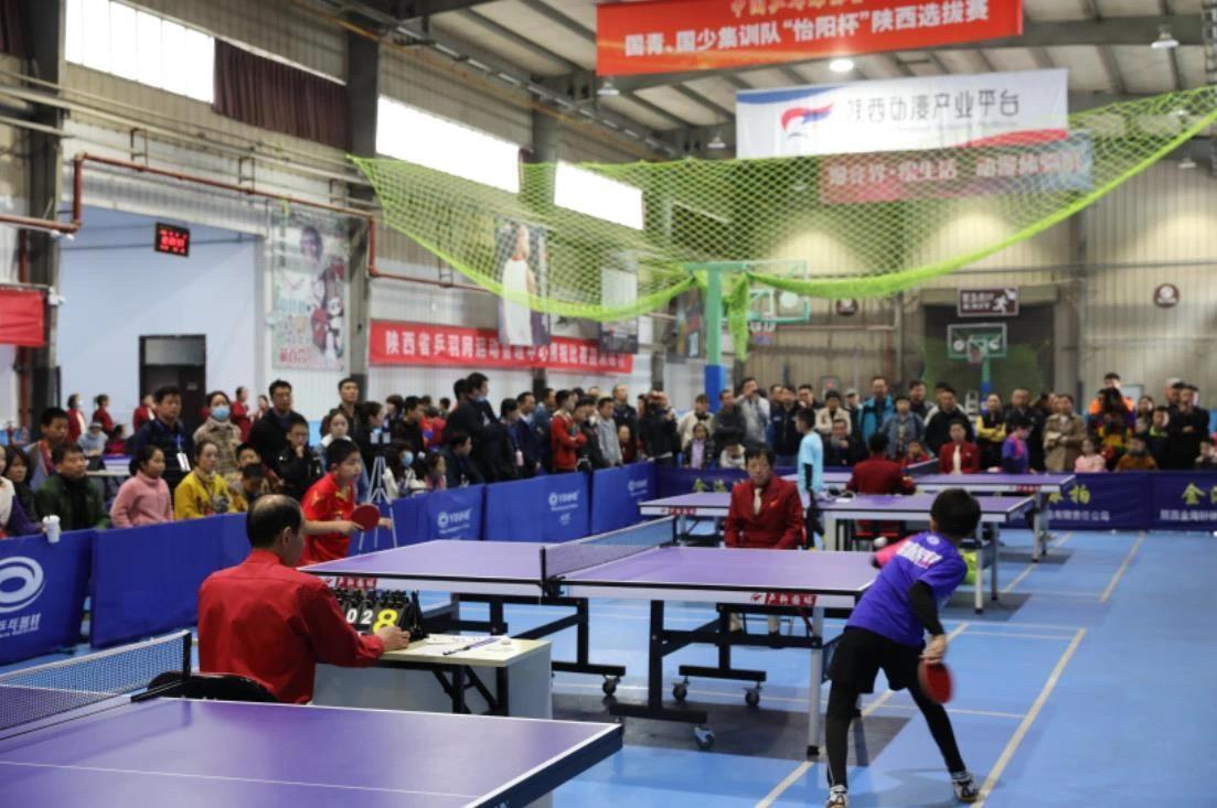 IP影响力 IP影响力